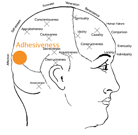 adhesiveness